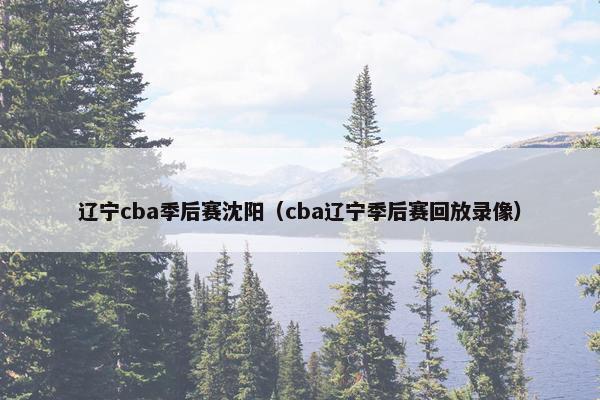辽宁cba季后赛沈阳（cba辽宁季后赛回放录像）