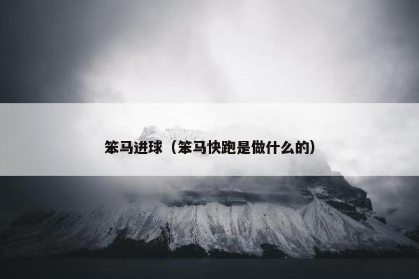 笨马进球（笨马快跑是做什么的）