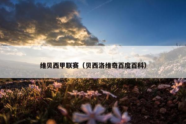 维贝西甲联赛（贝西洛维奇百度百科）