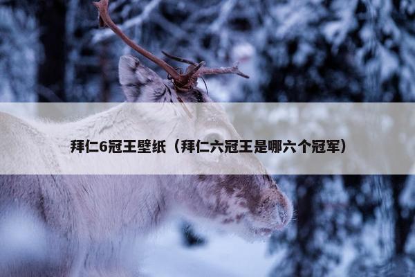 拜仁6冠王壁纸（拜仁六冠王是哪六个冠军）