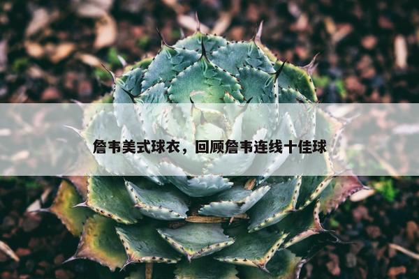 詹韦美式球衣，回顾詹韦连线十佳球