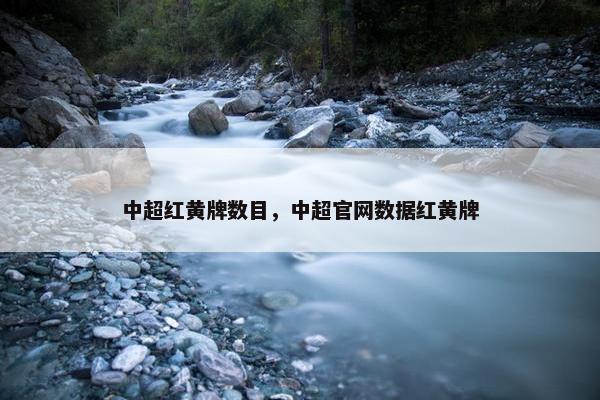 中超红黄牌数目，中超官网数据红黄牌