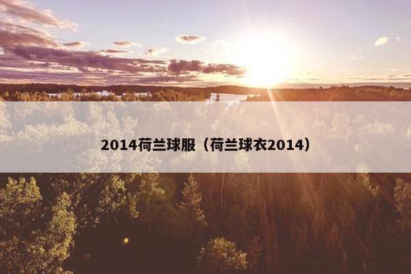 2014荷兰球服（荷兰球衣2014）