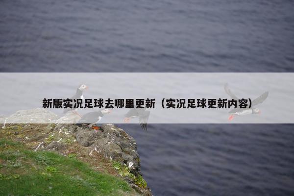新版实况足球去哪里更新（实况足球更新内容）