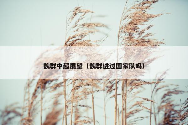 魏群中超展望（魏群进过国家队吗）