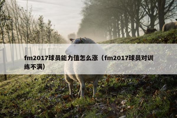 fm2017球员能力值怎么涨（fm2017球员对训练不满）