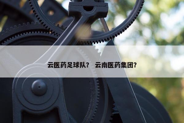 云医药足球队？ 云南医药集团？