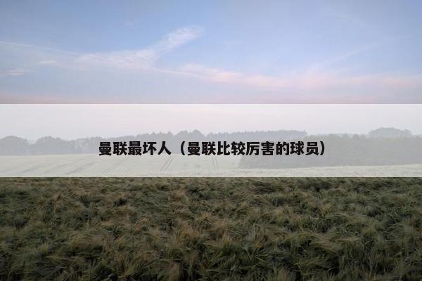 曼联最坏人（曼联比较厉害的球员）