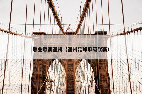 职业联赛温州（温州足球甲级联赛）