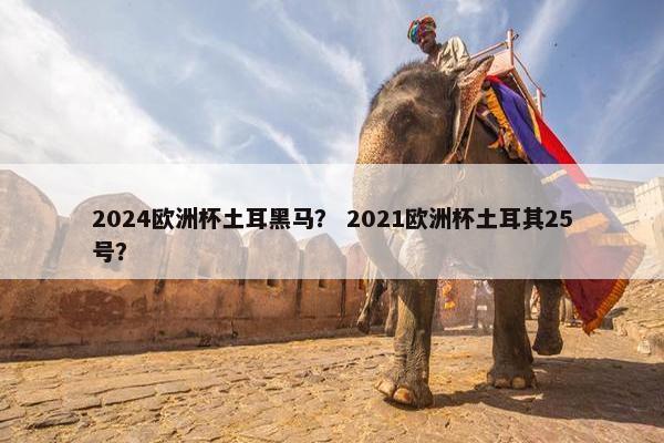 2024欧洲杯土耳黑马？ 2021欧洲杯土耳其25号？