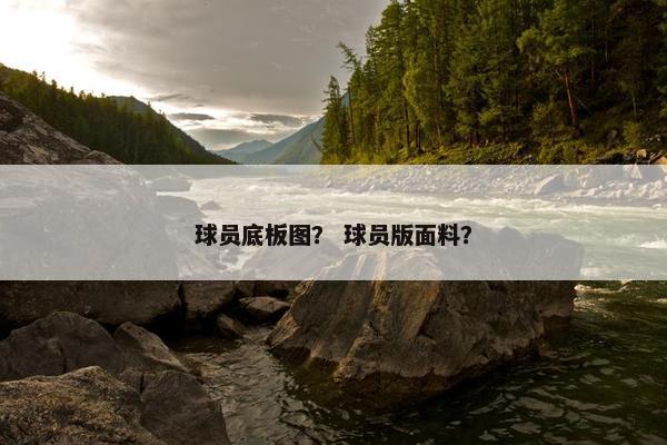 球员底板图？ 球员版面料？