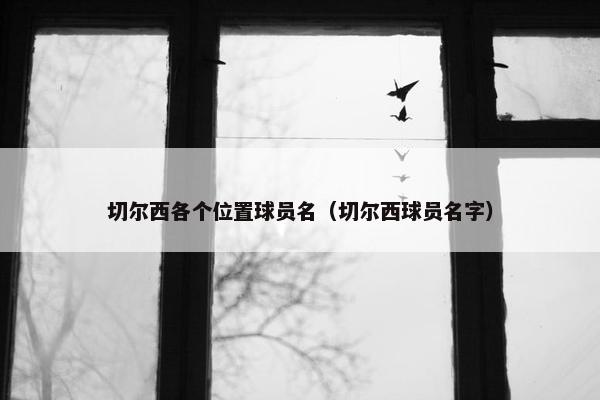 切尔西各个位置球员名（切尔西球员名字）