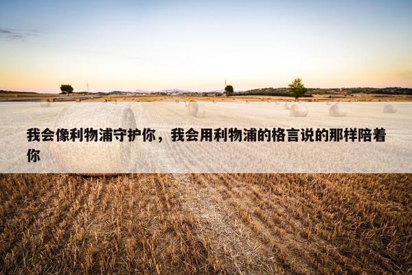 我会像利物浦守护你，我会用利物浦的格言说的那样陪着你