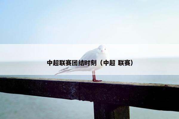 中超联赛团结时刻（中超 联赛）
