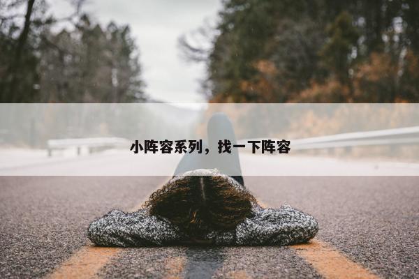 小阵容系列，找一下阵容