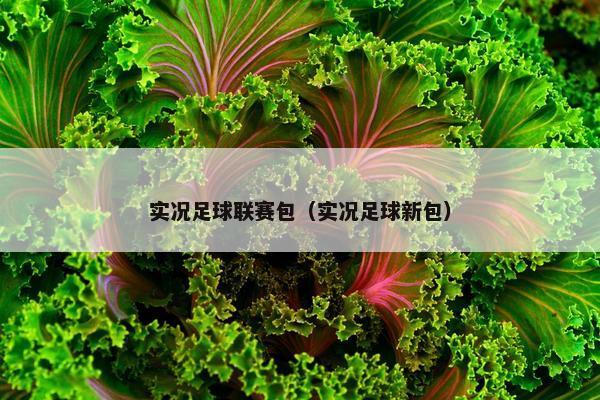 实况足球联赛包（实况足球新包）