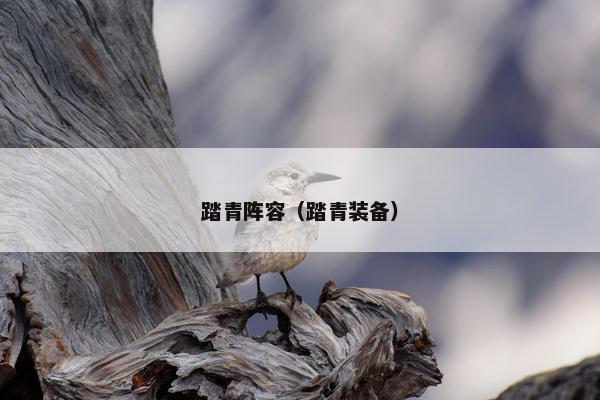 踏青阵容（踏青装备）