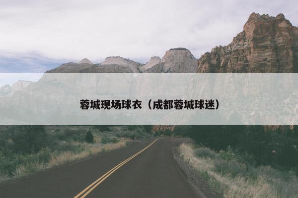 蓉城现场球衣（成都蓉城球迷）