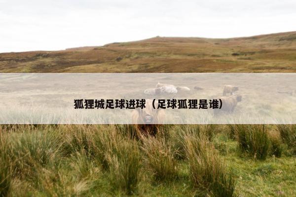 狐狸城足球进球（足球狐狸是谁）