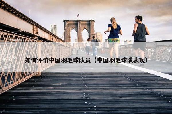如何评价中国羽毛球队员（中国羽毛球队表现）