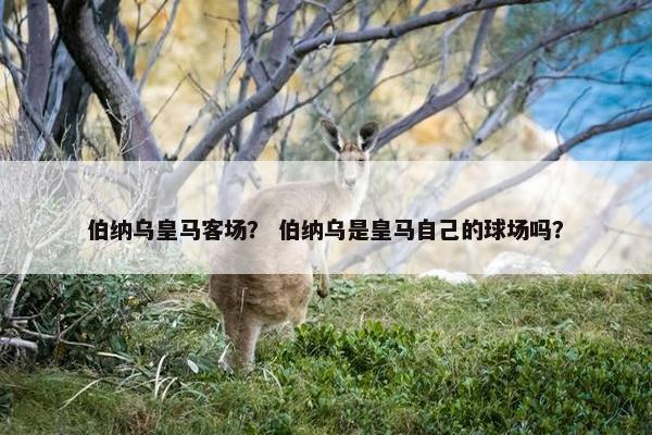 伯纳乌皇马客场？ 伯纳乌是皇马自己的球场吗？