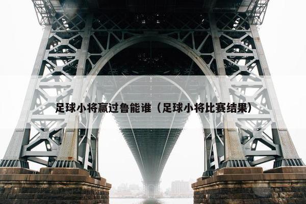 足球小将赢过鲁能谁（足球小将比赛结果）