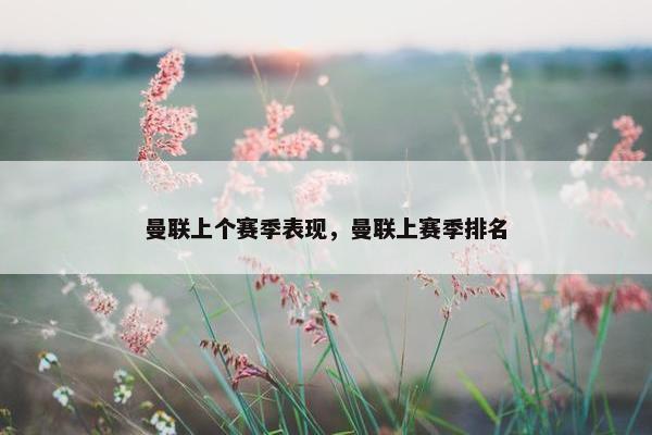 曼联上个赛季表现，曼联上赛季排名