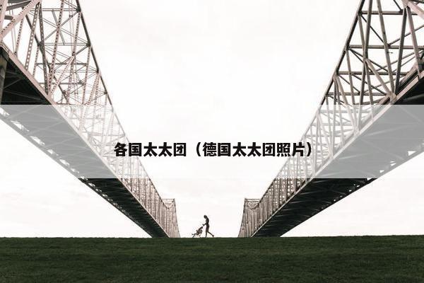 各国太太团（德国太太团照片）