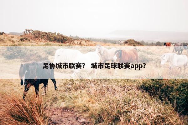 足协城市联赛？ 城市足球联赛app？