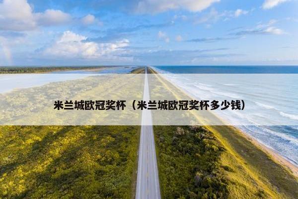 米兰城欧冠奖杯（米兰城欧冠奖杯多少钱）