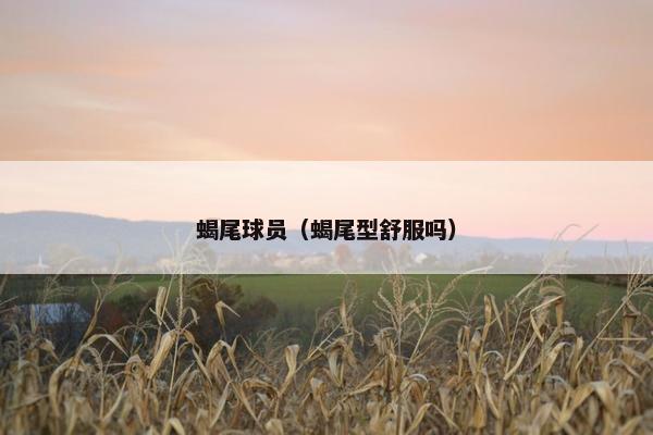 蝎尾球员（蝎尾型舒服吗）
