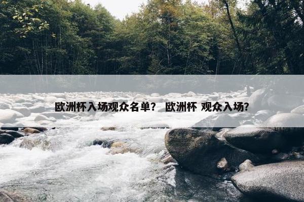 欧洲杯入场观众名单？ 欧洲杯 观众入场？