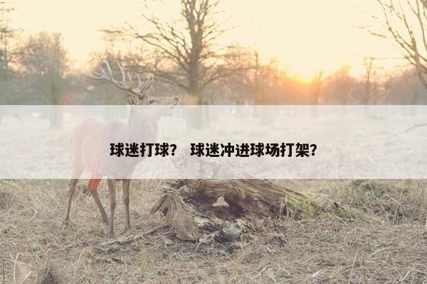 球迷打球？ 球迷冲进球场打架？