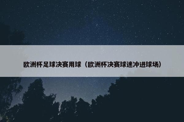 欧洲杯足球决赛用球（欧洲杯决赛球迷冲进球场）