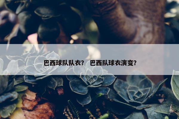 巴西球队队衣？ 巴西队球衣演变？