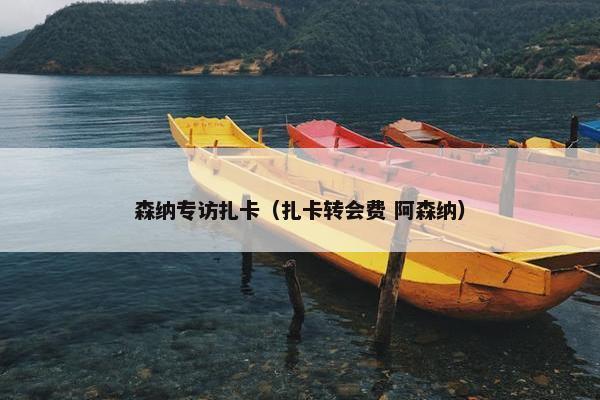 森纳专访扎卡（扎卡转会费 阿森纳）