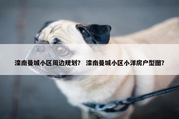 滦南曼城小区周边规划？ 滦南曼城小区小洋房户型图？