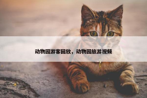 动物园游客回放，动物园旅游视频