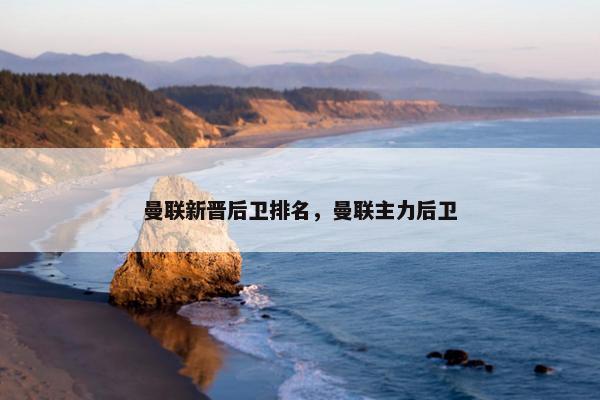 曼联新晋后卫排名，曼联主力后卫