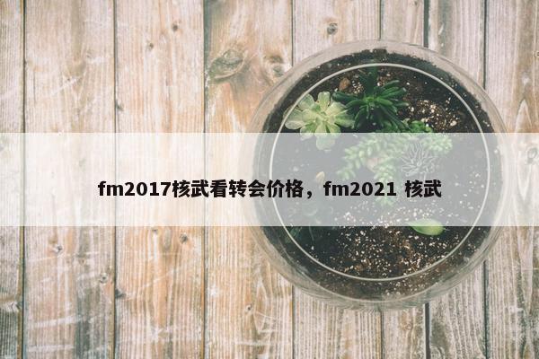 fm2017核武看转会价格，fm2021 核武