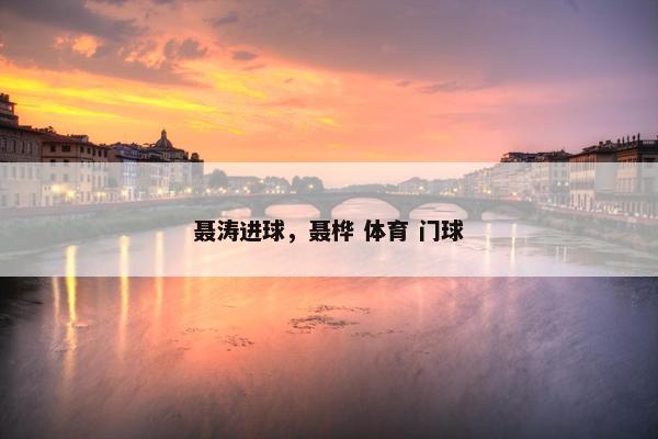 聂涛进球，聂桦 体育 门球