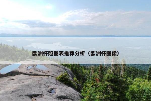 欧洲杯照图表推荐分析（欧洲杯图像）