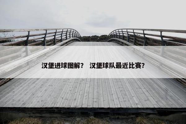 汉堡进球图解？ 汉堡球队最近比赛？