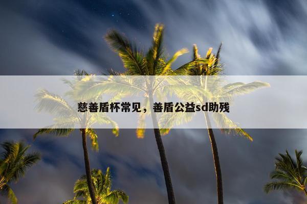 慈善盾杯常见，善盾公益sd助残