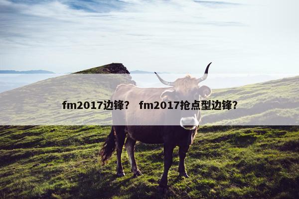 fm2017边锋？ fm2017抢点型边锋？