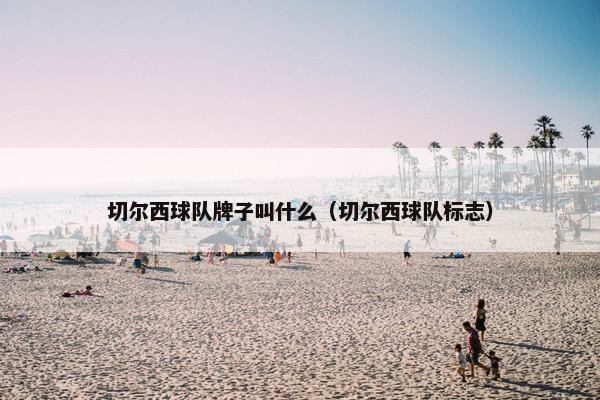切尔西球队牌子叫什么（切尔西球队标志）