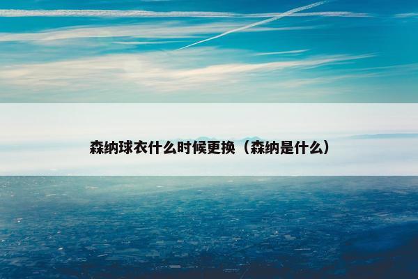 森纳球衣什么时候更换（森纳是什么）