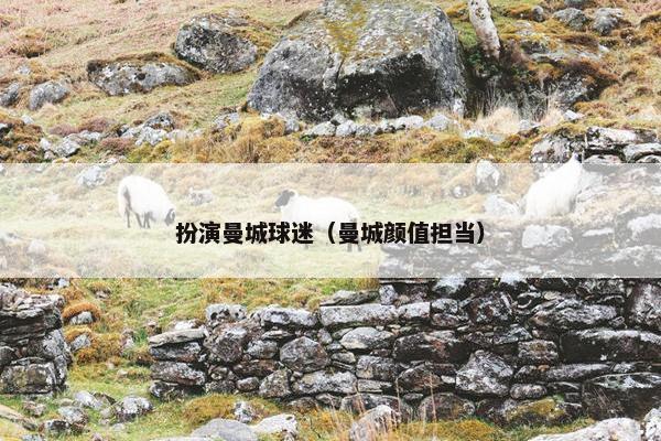 扮演曼城球迷（曼城颜值担当）