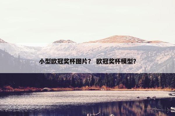 小型欧冠奖杯图片？ 欧冠奖杯模型？
