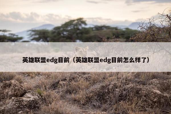 英雄联盟edg目前（英雄联盟edg目前怎么样了）